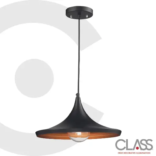 Lámpara colgante 2CLTP72